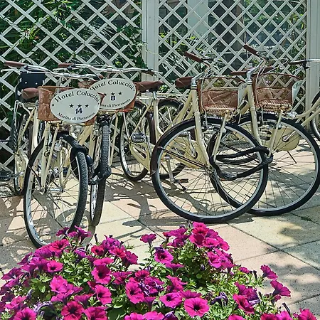 Szálloda Coluccini 3*