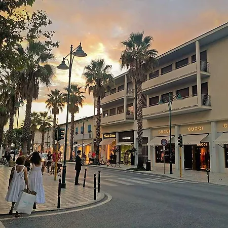 Coluccini